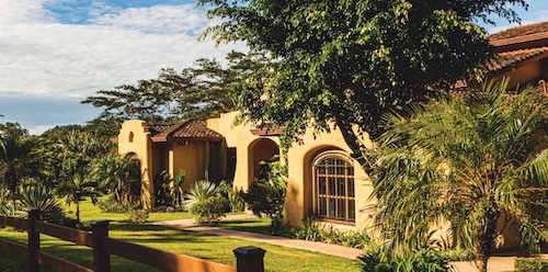 home surrounded by trees shade 