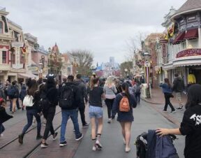 anaheim california disneyland adventure park